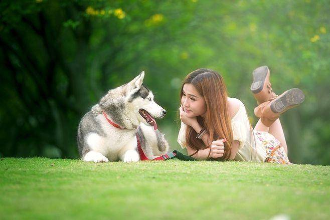 链分析：现状、痛点、需求、趋势开元棋牌app宠物食品行业产业(图2)