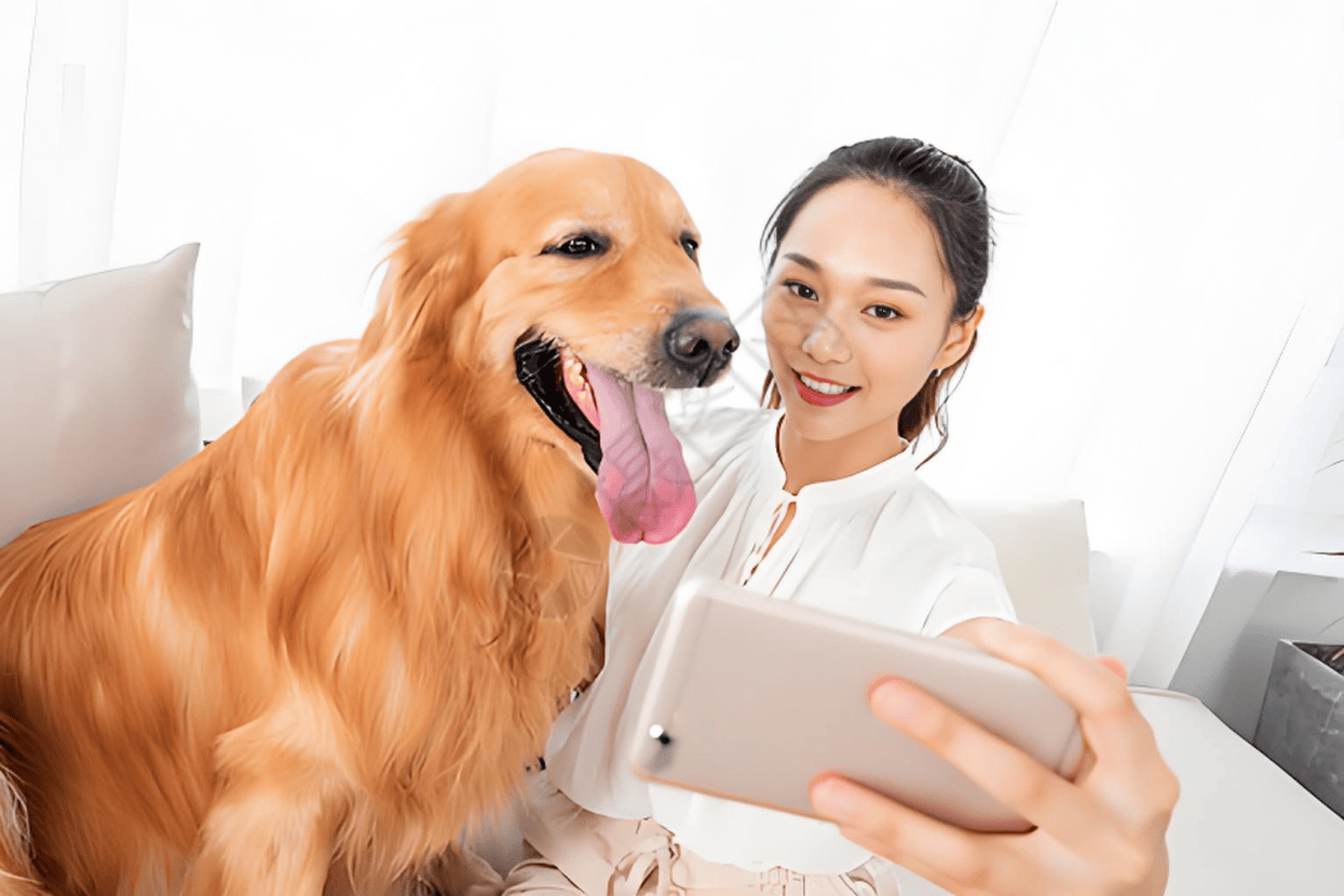 链分析：现状、痛点、需求、趋势开元棋牌app宠物食品行业产业(图3)