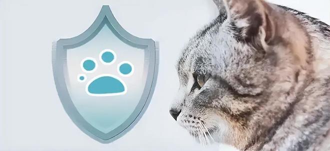 战场伊利、光明们快马杀到开元棋牌万亿“它经济”(图5)