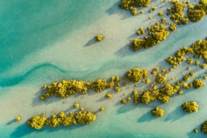 Climate and Oceans Support Program